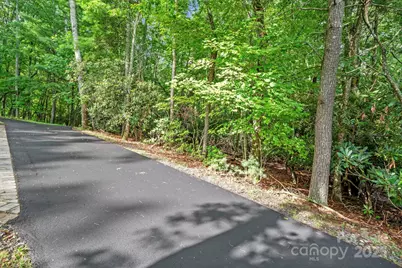 52 Dividing Ridge Trail, Arden, NC 28704 - Photo 2