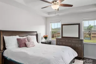 223 Water Leaf Dr, Weaverville, NC 28787 - Photo 10