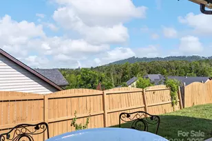 223 Water Leaf Dr, Weaverville, NC 28787 - Photo 18