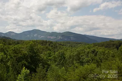 206 Legend Drive, Mill Spring, NC 28756 - Photo 26