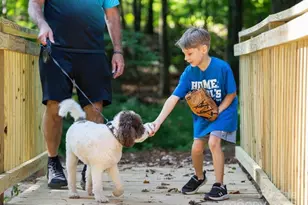 489 Nash St, Fort Mill, SC 29715 - Photo 22