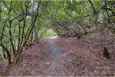 554 Pisgah Forest Drive, Pisgah Forest, NC 28768 - Photo 40