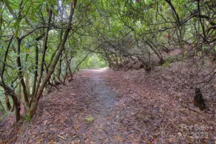 554 Pisgah Forest Dr, Pisgah Forest, NC 28768 - Photo 40
