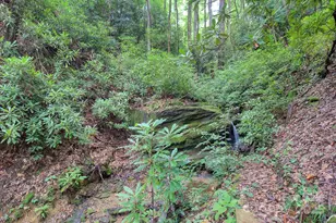 554 Pisgah Forest Dr, Pisgah Forest, NC 28768 - Photo 46