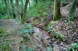 554 Pisgah Forest Dr, Pisgah Forest, NC 28768 - Photo 48