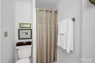 193 Downing Pl, Lake Lure, NC 28746 - Photo 40