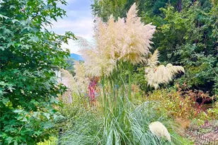 227 Reep Dr, Morganton, NC 28655 - Photo 46