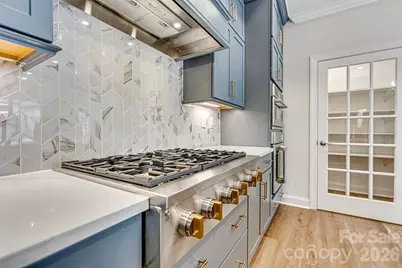 235 Alenda Lux Circle, Mooresville, NC 28115 - Photo 14