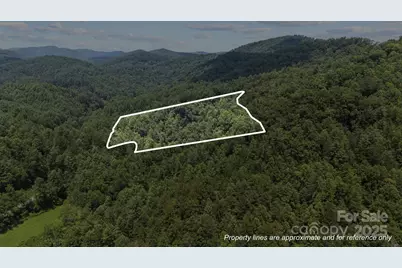1296 Sheets Gap Road, Millers Creek, NC 28651 - Photo 2
