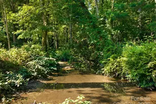 599 Red Fox Ln, Flat Rock, NC 28731 - Photo 6