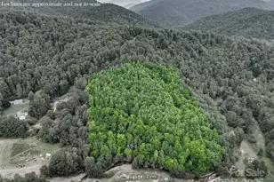 000 Eagle Bridge Rd, Burnsville, NC 28714 - Photo 10