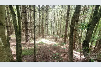 000 Eagle Bridge Road, Burnsville, NC 28714 - Photo 2