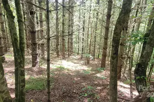 000 Eagle Bridge Rd, Burnsville, NC 28714 - Photo 2