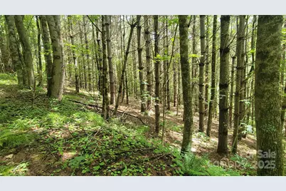 000 Eagle Bridge Road, Burnsville, NC 28714 - Photo 12