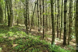 000 Eagle Bridge Rd, Burnsville, NC 28714 - Photo 12