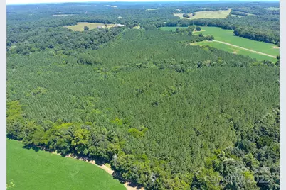 1455 Blonnie Ross Road, Polkton, NC 28135 - Photo 16