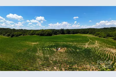 1455 Blonnie Ross Road, Polkton, NC 28135 - Photo 14