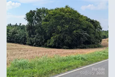 1455 Blonnie Ross Road, Polkton, NC 28135 - Photo 6