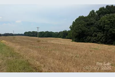 1455 Blonnie Ross Road, Polkton, NC 28135 - Photo 2