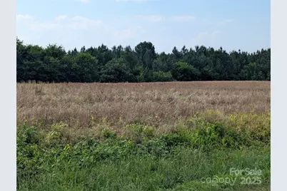 1455 Blonnie Ross Road, Polkton, NC 28135 - Photo 4