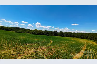 1455 Blonnie Ross Road, Polkton, NC 28135 - Photo 10