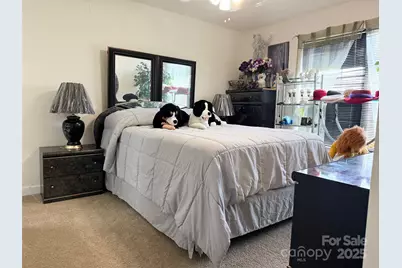 4046 W Fairmeadow Drive, Lancaster, SC 29720 - Photo 20