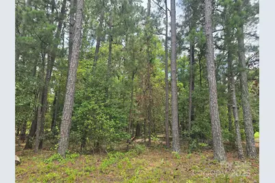 00 Johnny Williams Road #5, Kershaw, SC 29067 - Photo 2