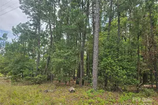 00 Johnny Williams Rd, Kershaw, SC 29067 - Photo 1