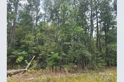 00 Johnny Williams Road #5, Kershaw, SC 29067 - Photo 6