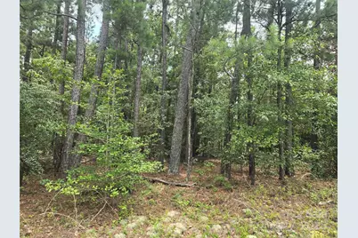 00 Johnny Williams Road #5, Kershaw, SC 29067 - Photo 4