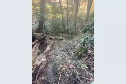 530 Rebel Ridge Road, Marshall, NC 28753 - Photo 44