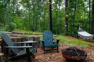 221 Summerfield Ln, Rutherfordton, NC 28139 - Photo 30