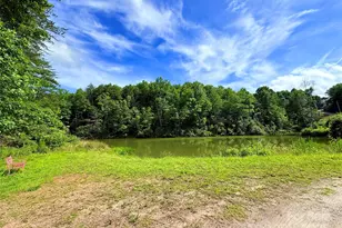 221 Summerfield Ln, Rutherfordton, NC 28139 - Photo 10