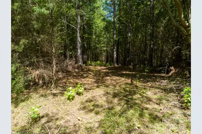 01 Setzler Road, Laurens, SC 29360 - Photo 4