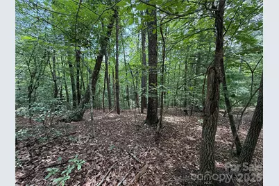 Tbd Pine Burr Drive #139, Purlear, NC 28665 - Photo 6