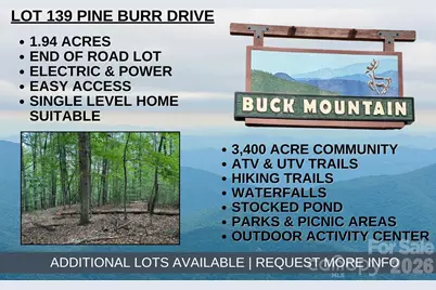 Tbd Pine Burr Drive #139, Purlear, NC 28665 - Photo 1