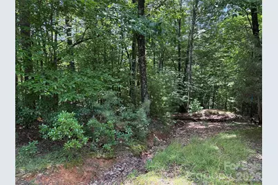 Tbd Pine Burr Drive #139, Purlear, NC 28665 - Photo 14