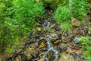 150 Sondley Pkwy, Asheville, NC 28805 - Photo 8