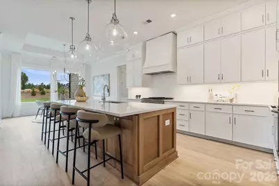 1008 Courtney Lane #28, Wesley Chapel, NC 28173 - Photo 20