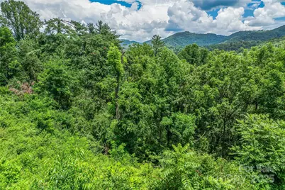29 Grovepoint Way, Asheville, NC 28804 - Photo 22