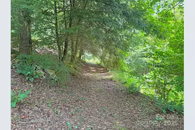 257 Henderson Drive, Hot Springs, NC 28743 - Photo 46