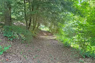 257 Henderson Dr, Hot Springs, NC 28743 - Photo 46