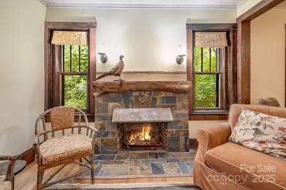 257 Henderson Drive, Hot Springs, NC 28743 - Photo 2