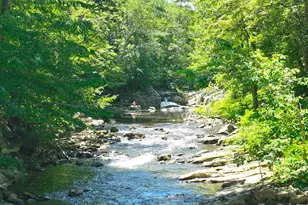 257 Henderson Dr, Hot Springs, NC 28743 - Photo 40