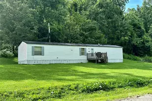 492 Chestnut Mountain Rd, Spruce Pine, NC 28777 - Photo 1