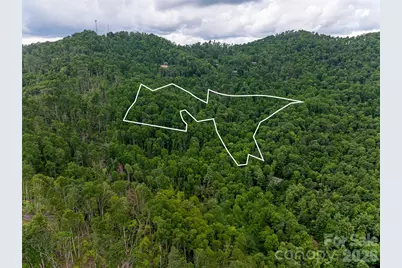 163 Tweetys Knoll, Burnsville, NC 28714 - Photo 38