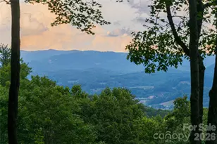 163 Tweetys Knoll, Burnsville, NC 28714 - Photo 6