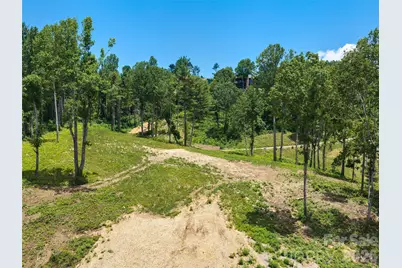 620 Dancing Bear Drive #195, Hendersonville, NC 28792 - Photo 10
