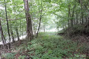 103 Chucks Ln, Bakersville, NC 28705 - Photo 46