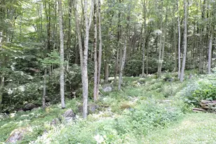 103 Chucks Ln, Bakersville, NC 28705 - Photo 48